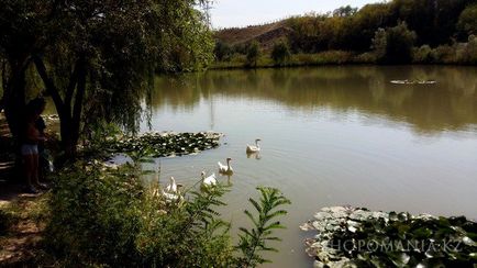 Hot Springs Gres (almați), contacte, fotografii, prețuri, adresa cum să ajungi