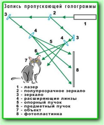 Інфофіз - мій світ