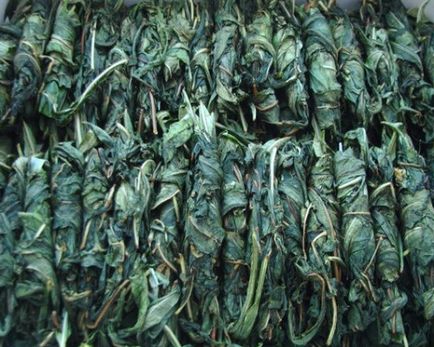 Ivan tea - gyűjtése a szárított aromás növény