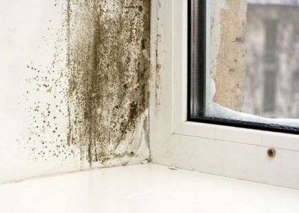 Cum sa scapi de umiditate si umezeala intr-un apartament sau casa, precum si de la un miros concomitent,