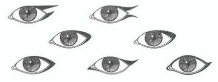 Як наносити тіні для очей, business and beauty women