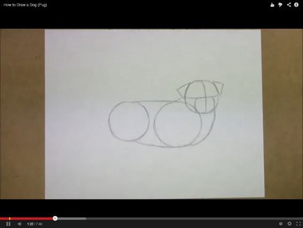 Cum de a desena un buldog în creion în etape
