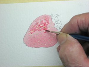 Cum de a desena o căpșună în acuarelă