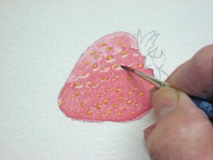 Як намалювати полуницю аквареллю