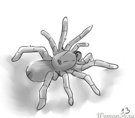 Cum de a desena un păianjen