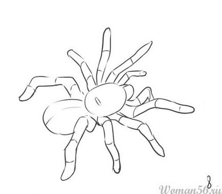 Як намалювати павука