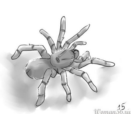 Hogyan kell felhívni a pók