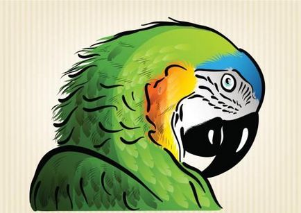 Як намалювати папугу олівцем поетапно дізнаємося!
