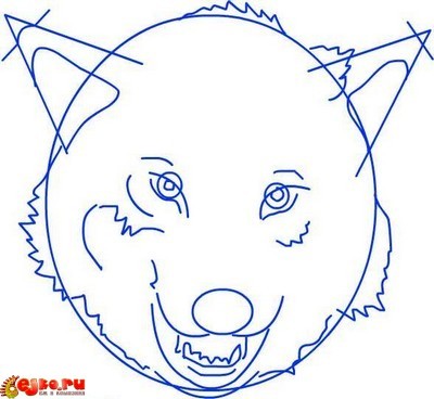 Cum de a desena un arici lup - vii de colorare