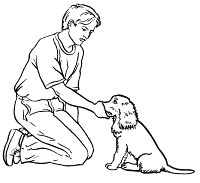 Cum de a învăța un câine comanda să fie tăcută sau liniștită