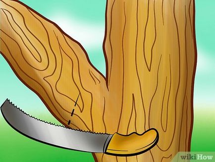 Cum să tăiați ramurile de copaci