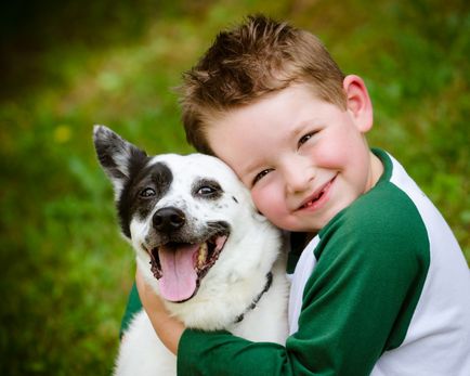 Hogyan beszélni a gyerekeket a vásárlás dog (kutya) Hogyan lebeszélni a gyermeket a kutya vásárlások