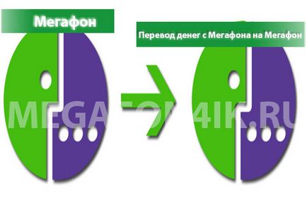 Cum să transferați bani dintr-o megafonă într-un megafon - o instrucțiune pentru a transfera bani dintr-o megafonă într-un megafon