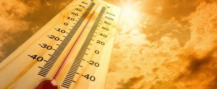 Як пережити літню спеку як зберегти працездатність в спеку