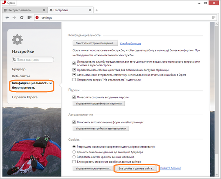 Як почистити куки в opera