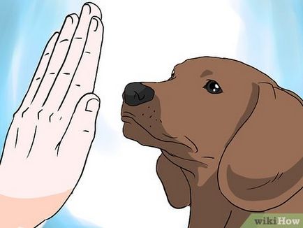 Cum să vă pregătiți câinele pentru un copil
