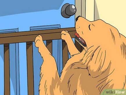 Як підготувати свою собаку до появи у вас дитини