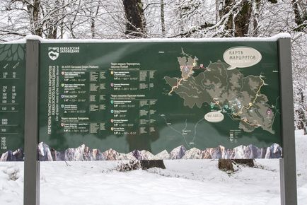 Hogyan juthat el a labdát, hogy a Kaukázus Nature Reserve