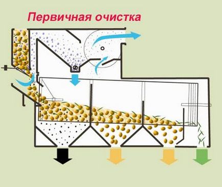Як відбувається очищення зерна