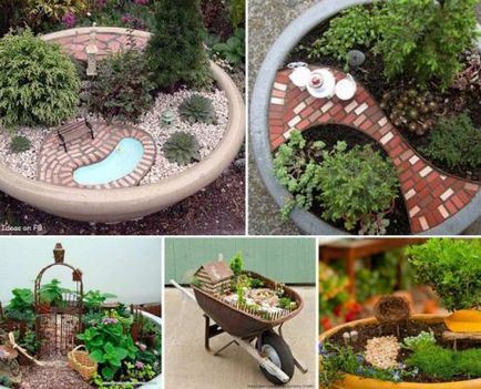Cum de a crea o grădină în miniatura pe cont propriu