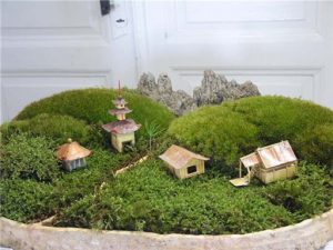 Cum de a crea o grădină în miniatura pe cont propriu