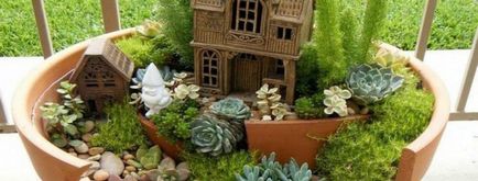 Як самостійно створити мініатюрний сад