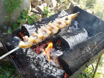 Cum sa faci kebab shish din retetele grase de kebab shish din sub-bol