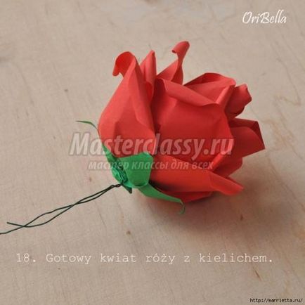 Cum să pui un trandafir pentru un buchet de bani