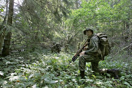 Як тренується спецназ ВДВ, fresher - найкраще з рунета за день!