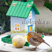 Cum să decorezi un alimentator de păsări, o casă cu pictura cu guașă