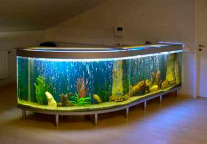 Як вибирати акваріум