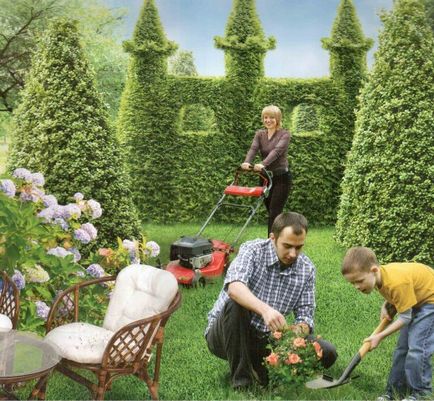 Cum să cresc un stil de viață frumos în grădină, grădinărit, ziarul meu