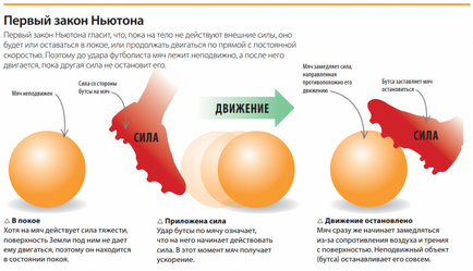 Cum să înveți chimia, fizica și biologia fără manuale