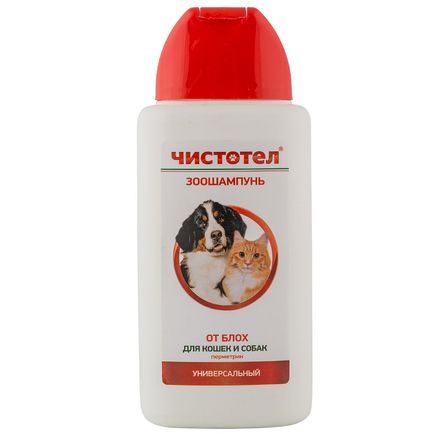Cum să eliminați puricele de la o pisică domestică - gulere, spray-uri și șampoane