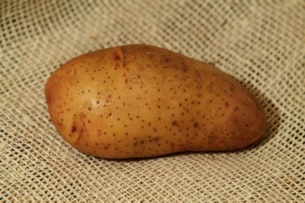 Cartofi - descrierea tiradei varietății, fotografii, caracteristicile randamentului cartofului