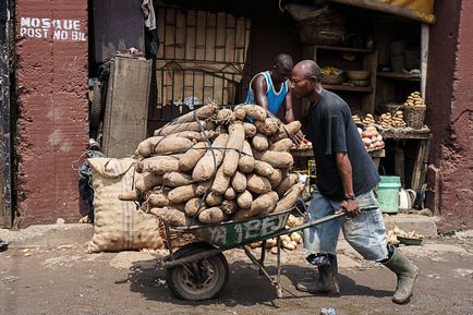 Cartofi din regatul african sau yamsovo