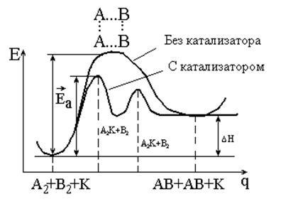 Katalízis - studopediya