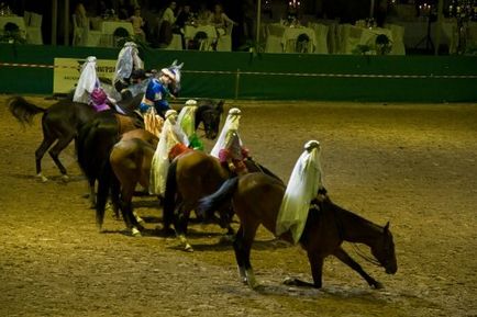 Câine rău - vizualizarea temei - virtual stud - vale solare