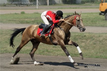 Câine rău - vizualizarea temei - virtual stud - vale solare