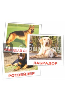 Книга комплект карток - породи собак - (16, 5х19, 5 см) - носова, Єпанова