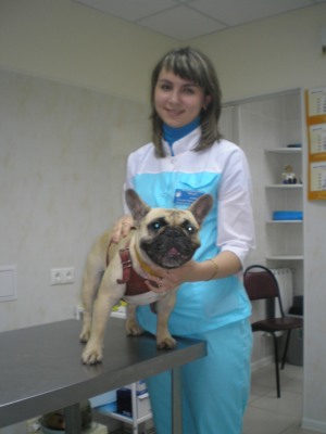 Personalul clinicii veterinare sunt doctorii noștri Veda-vet