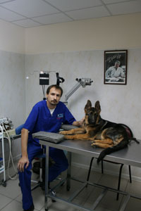 állatorvosi klinika csapat, mi orvosok veda-vet