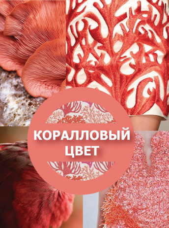 Coral de culoare în haine, accesorii, cosmetice