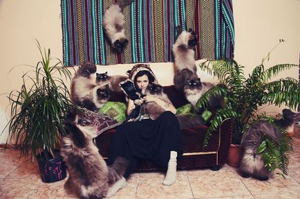 Seria de fotografii amuzante de tip Cotonascence cu pisicile și proprietarii acestora