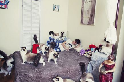 Seria de fotografii amuzante de tip Cotonascence cu pisicile și proprietarii acestora