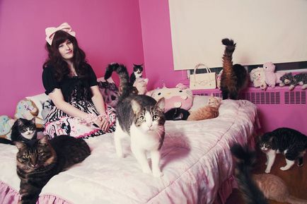 Котонашествіе кумедна фотосерія з котами і їх власниками