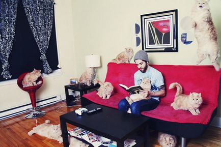 Kotonashestvie fun fotósorozat a macskák és a tulajdonosok (az ár egy autószerelő) Kotonashestvie fun fotósorozat a macskák és a tulajdonosok