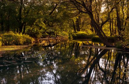 A szépség anyatermészet (D600 Nikon 24mm) A szépség anyatermészet