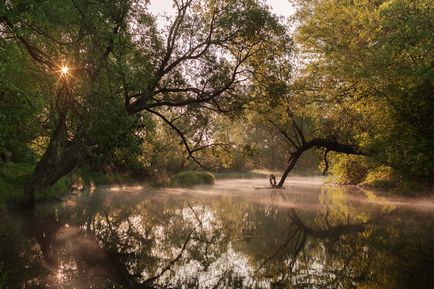 Краса рідної природи