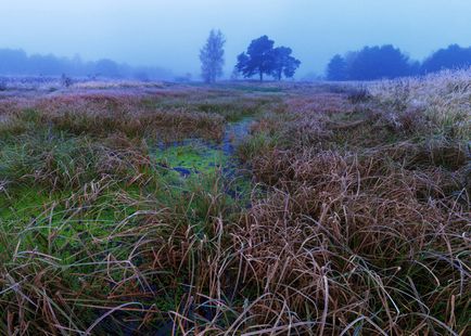 A szépség anyatermészet (Nikon 24mm AF-S Nikkor) A szépség anyatermészet